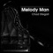 Melody Man (Floor Burner Remix) - Chad Stegall lyrics