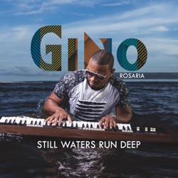 Gino Rosaria - Night Groove (feat. Marcus Anderson)