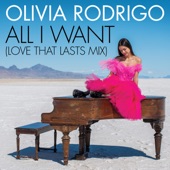 All I Want (Love That Lasts Mix) artwork