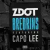 Bredrins (feat. Capo Lee) - Single album lyrics, reviews, download
