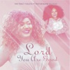 Lord You Are Good (feat. Pastor Bumie Asuquo) - Single