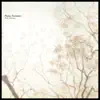 Piano Fantasia+ - Single (feat. Anoice) - Single album lyrics, reviews, download