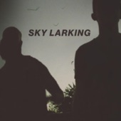 Sky Larking artwork