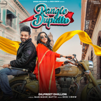 Dilpreet Dhillon - Rangle Dupatte (Desi Crew) artwork