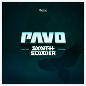 Raven (Synthsoldier Remix) artwork