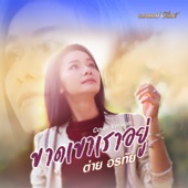 ขาดเขาเราอยู่ (Cover) artwork