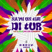 Na'mi Un Tiki Di Tur (feat. Amos, HnlY, Dju Dju V & Stevens) artwork