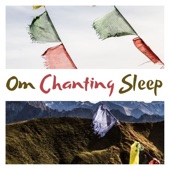 Om Chanting Sleep - Removes All Negative Blocks artwork