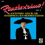 SONARON CUATRO BALAZOS