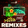 We Muzik, Vol. 10 (Remixes) - Precision Productions