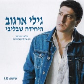 היחידה שבליבי artwork