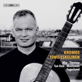 Kromos: 21st Century Guitar Music artwork