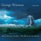 My Wild Love - George Winston lyrics