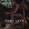 Bie Ndu (feat. The Cavemen) - Femi Leye lyrics