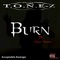 Burn (feat. Megan Bianca) - T.O.N.E-Z lyrics