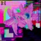 Picture Perfect (feat. 24kgoldn) - Gabeo lyrics