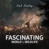 Fascinating World of Wildlife album lyrics, reviews, download
