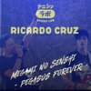 Megami No Senshi ~Pegasus Forever~ - Single