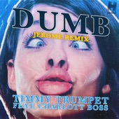 Dumb (Jerome Remix) artwork