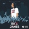Rick James - Playa Pone lyrics