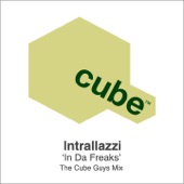 In Da Freaks (The Cube Guys Mix) artwork