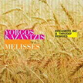 Melisses (Dreamers Inc. Remix) artwork