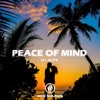 Peace of Mind - Single, 2023