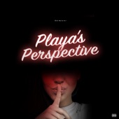 Playa's Perspective artwork