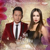 Để Nhớ Một Thời Ta Đã Yêu artwork