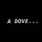 D O V E - BTD KJ lyrics