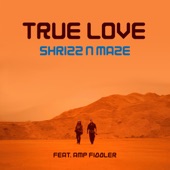 True Love (Radio Edit) artwork