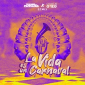 La Vida Es Un Carnaval Remix artwork