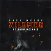 Stream & download Imma Wildfire (feat. Adam McInnis) - Single