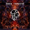 Apollon - Rikken lyrics