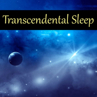 Seishin Tamashi - Transcendental Sleep artwork