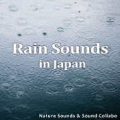 Rain Sounds In Japan artwork