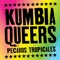 Kumbia Punk (feat. Che Cumbe & Negro Dub) artwork