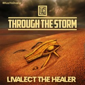 Livalect the Healer - Through the Storm