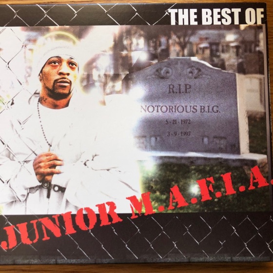 Cover artwork for Realms of Junior M.A.F.I.A.