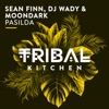 Sean Finn - Pasilda (Radio Edit)