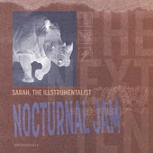 Nocturnal Jam artwork