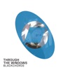 Through the Windows - Single