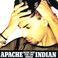 Apache Indian - Make Way For The Indian artwork