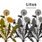 Aquesta Casa - Litus lyrics