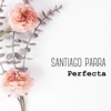 Perfecta - Single