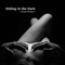 Hiding in the Dark - George Sundancer lyrics