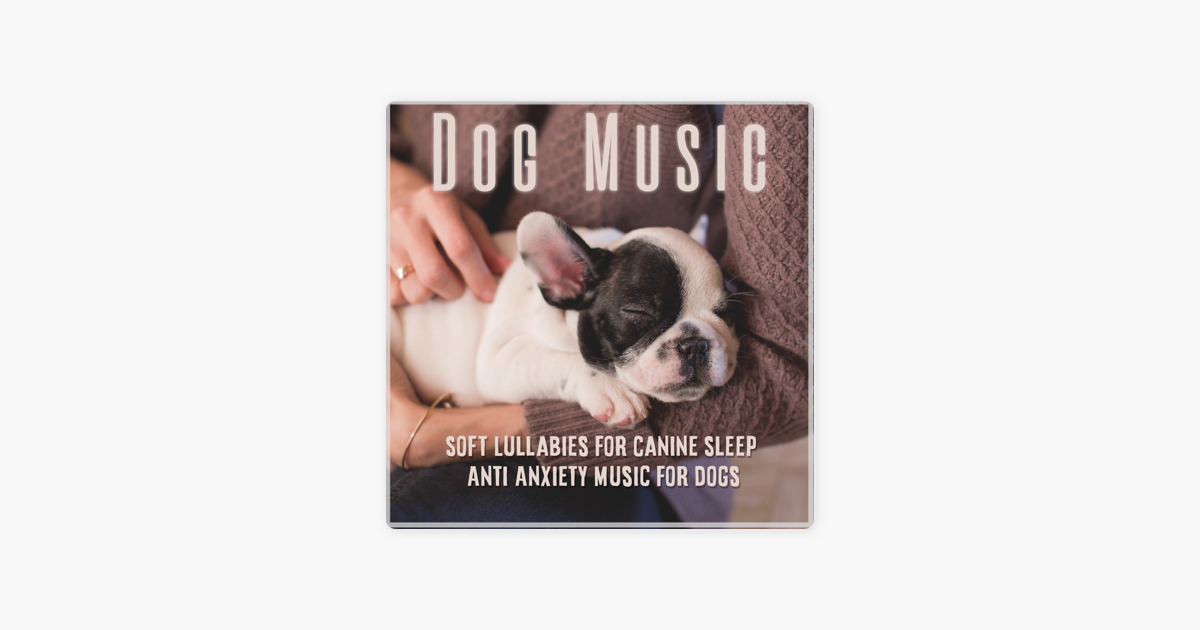 anti anxiety music for dogs