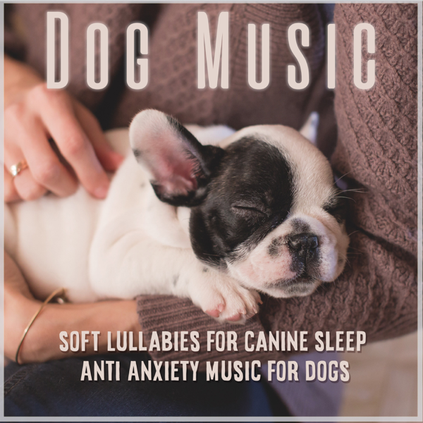 dog music to sleep