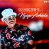 Ngiya Lahlela (Instrumental) - Single