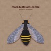 Maledetti amici miei by Giuliano Sangiorgi iTunes Track 1